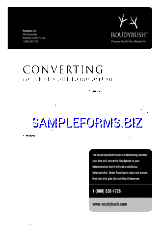 Flyer Template 1 pdf free
